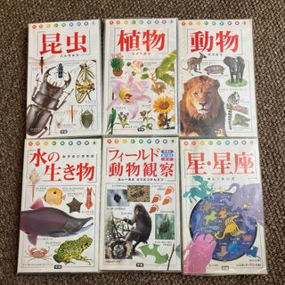 学研、ポケット図鑑6冊まとめ売り(絵本/児童書)