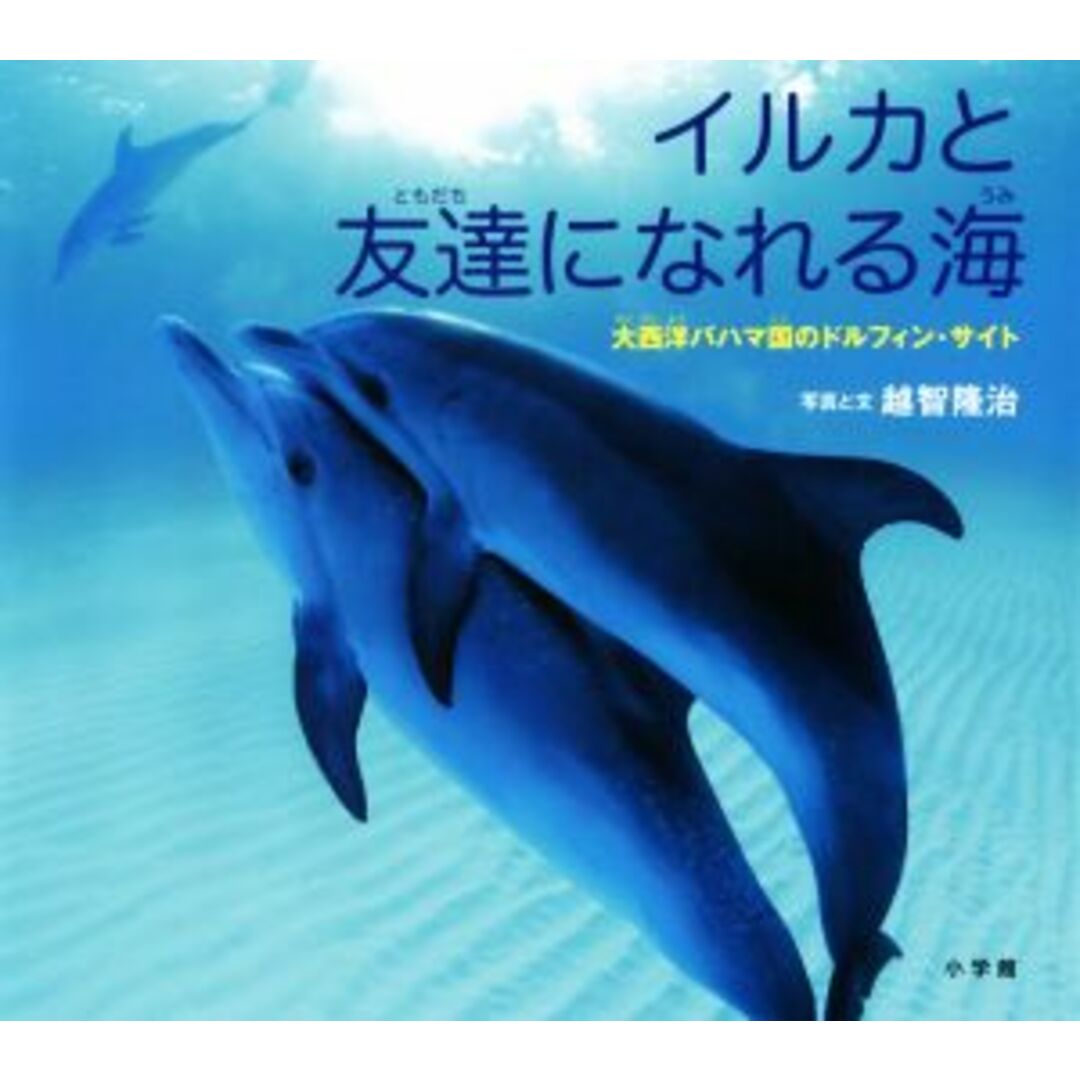 イルカと友達になれる海 大西洋バハマ国のドルフィン・サイト 小学館の図鑑ＮＥＯの科学絵本／越智隆治 エンタメ/ホビーの本(絵本/児童書)の商品写真