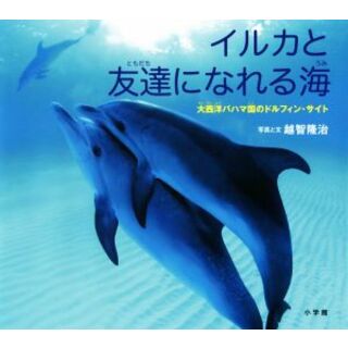 イルカと友達になれる海 大西洋バハマ国のドルフィン・サイト 小学館の図鑑ＮＥＯの科学絵本／越智隆治(絵本/児童書)