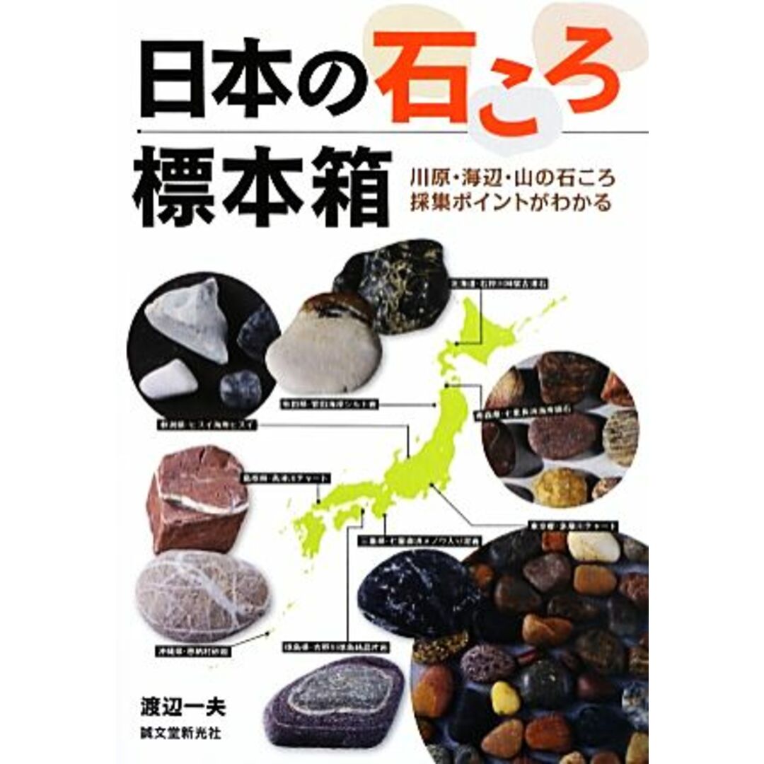 日本の石ころ標本箱 川原・海辺・山の石ころ採集ポイントがわかる／渡辺一夫【著】 エンタメ/ホビーの本(科学/技術)の商品写真