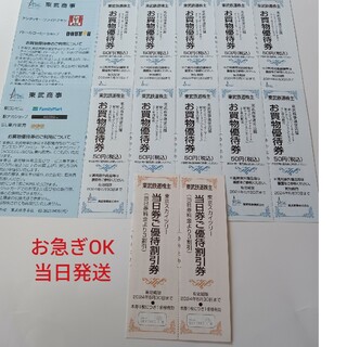 東京スカイツリー当日券3割引×2枚、お買い物優待券×10枚(遊園地/テーマパーク)