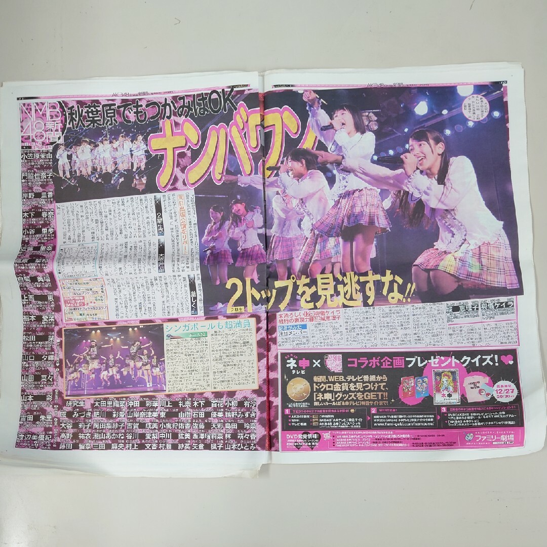 AKB48(エーケービーフォーティーエイト)のAKB48新聞　創刊号 エンタメ/ホビーの同人誌(アイドル)の商品写真