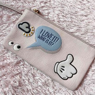 アニヤハインドマーチ(ANYA HINDMARCH)のアニヤハインドマーチ　ポーチ　長財布　小物入れ　カード入れ　本革(ポーチ)