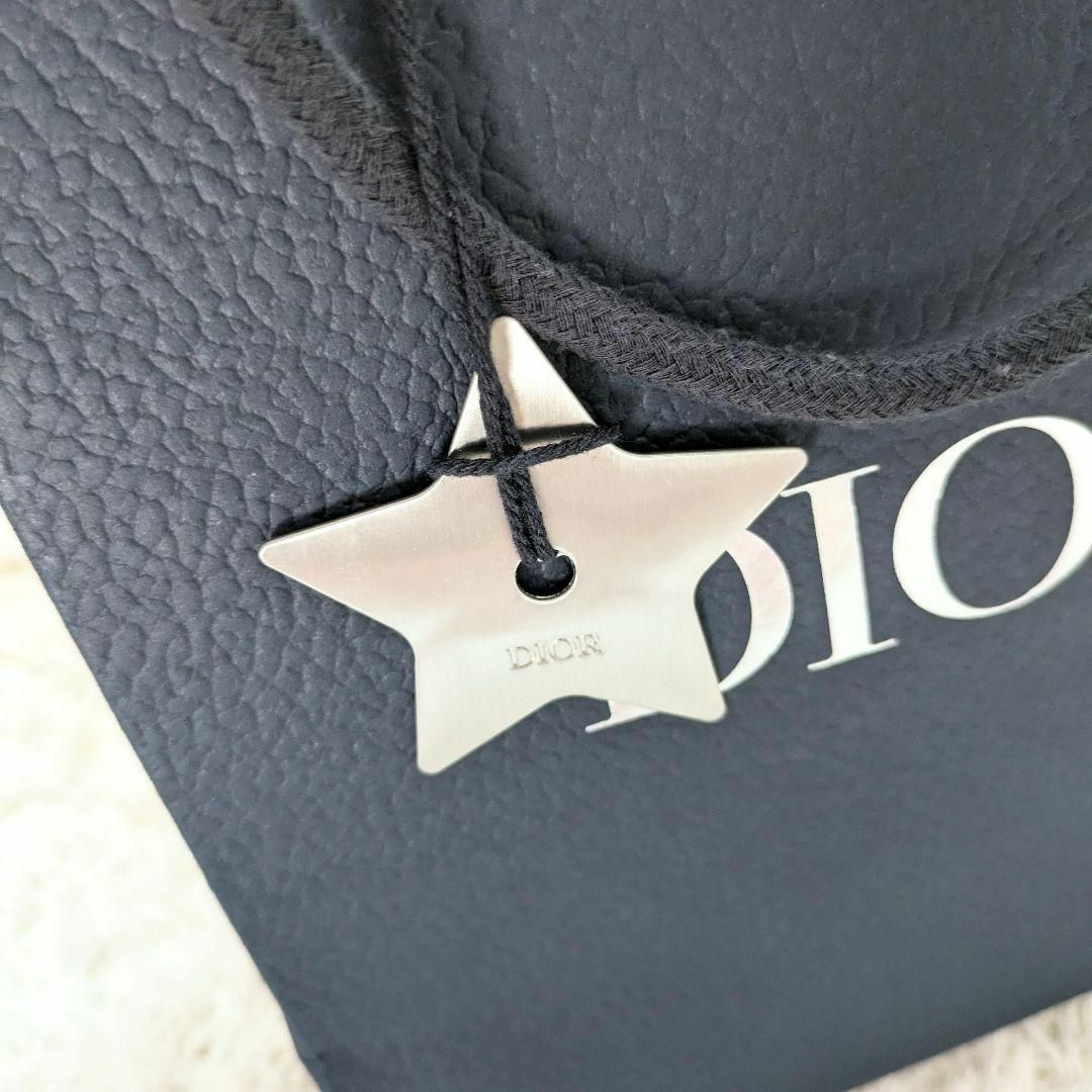 Christian Dior(クリスチャンディオール)の現行 極美品 ディオール CDアイコン チェーンリンク ネックレス 付属品完備 メンズのアクセサリー(ネックレス)の商品写真