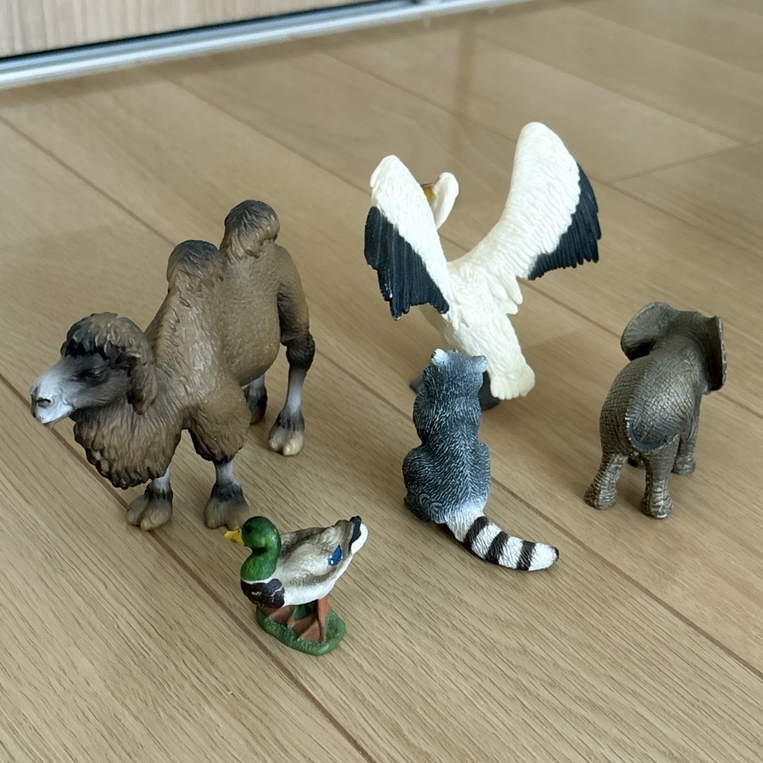 Schleich(シュライヒ)のシュライヒ　5点セット　ラクダ　ペリカン　レア　廃盤 エンタメ/ホビーのフィギュア(その他)の商品写真