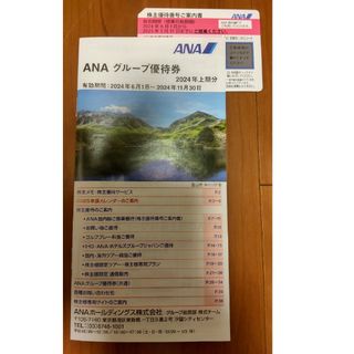 エーエヌエー(ゼンニッポンクウユ)(ANA(全日本空輸))のANA 株主優待券(その他)