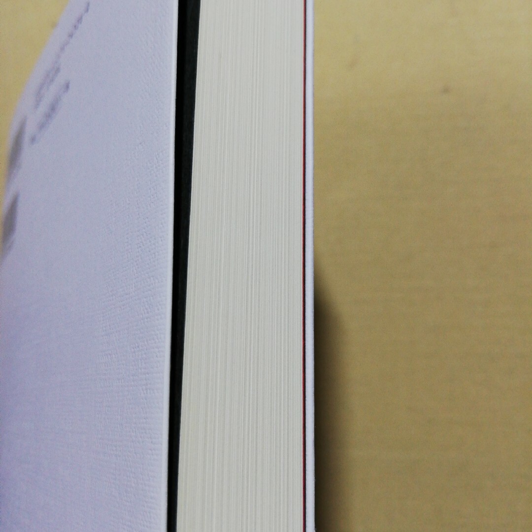 乳房のくにで エンタメ/ホビーの本(文学/小説)の商品写真