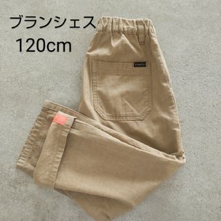 ブランシェス(Branshes)のBRANSHES ブランシェス 8分丈 パンツ ベージュ ネオン 120cm(パンツ/スパッツ)