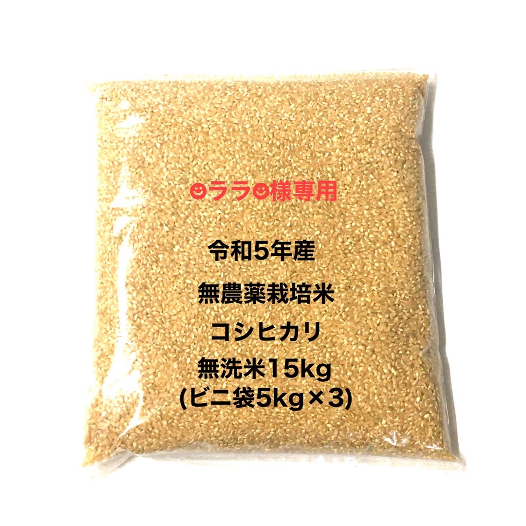 ☻ララ☻様専用 無農薬コシヒカリ無洗米15kg(5kg×3)令和5年産 食品/飲料/酒の食品(米/穀物)の商品写真