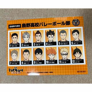 ハイキュー　選手名鑑風ブロマイド