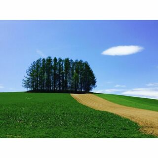M52 マイルドセブンの丘/美瑛/北海道/日本の風景/アートパネル(絵画/タペストリー)