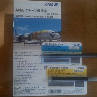 エーエヌエー(ゼンニッポンクウユ)(ANA(全日本空輸))のANA　株主優待番号ご案内書2枚　グループ優待券1冊　24/5/31期限(その他)