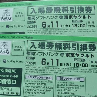 【即日発送】ホークスチケット 6/11（火）2枚セット vsヤクルト戦(野球)