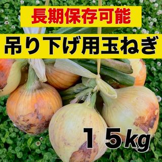 今年も販売中‼️吊るして保存‼️玉ねぎ15キロ入(野菜)