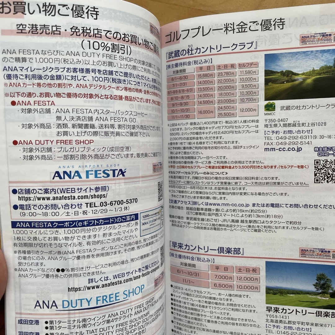 ANA(全日本空輸)(エーエヌエー(ゼンニッポンクウユ))の最新2025年5/31まで！ANA株主優待　搭乗券＋ANAグループ優待券付き チケットの乗車券/交通券(航空券)の商品写真