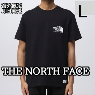THE NORTH FACE - ノースフェイス 半袖 Tシャツ ハーフドーム ロゴ トップス メンズ L