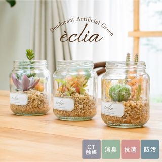 フェイクグリーン　多肉植物　サボテン　観葉植物　Ampoule コケ　eclia(その他)