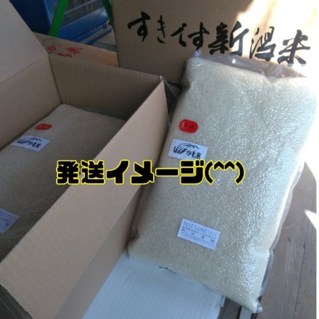 無農薬米新潟県産コシヒカリ10k 食品/飲料/酒の食品(米/穀物)の商品写真