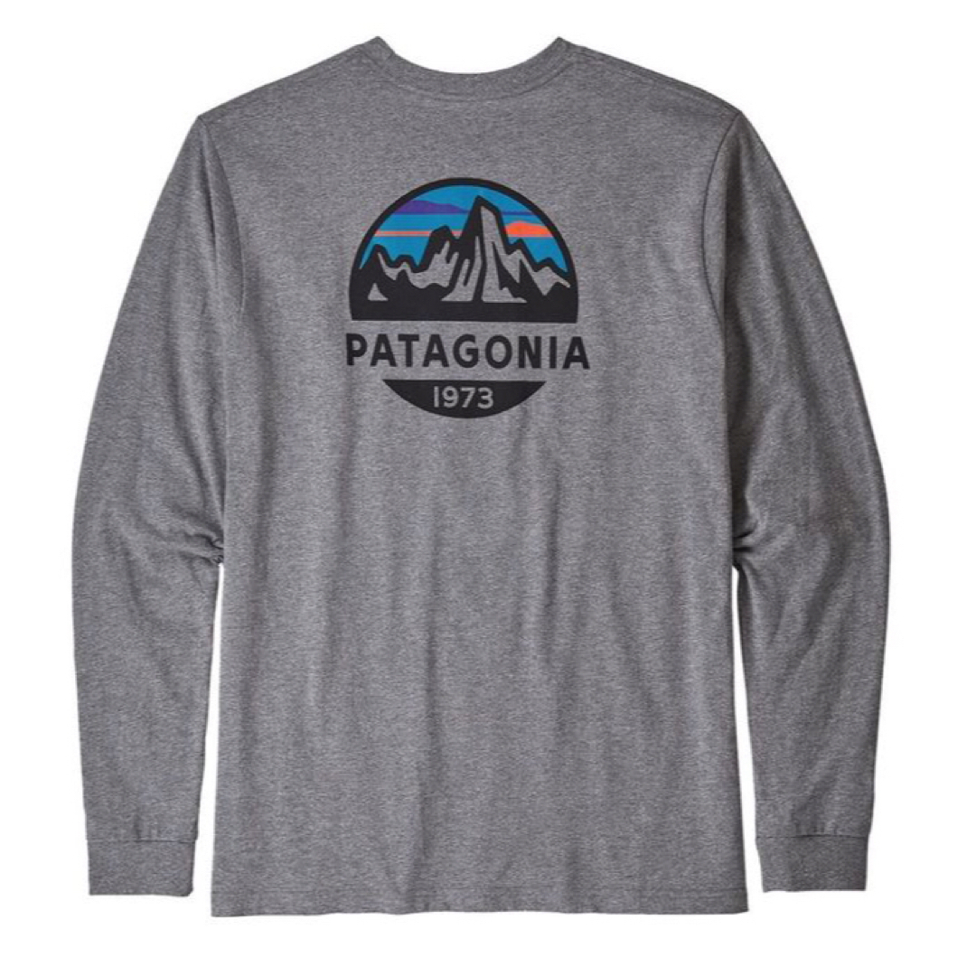 patagonia(パタゴニア)のpatagonia ロンT L LONG-SLEEVED FITZ ROYグレー メンズのトップス(Tシャツ/カットソー(七分/長袖))の商品写真