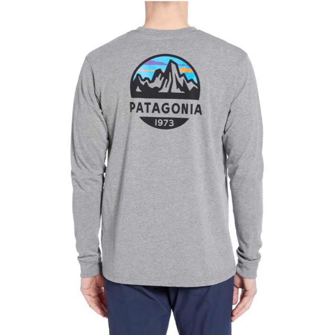 patagonia(パタゴニア)のpatagonia ロンT L LONG-SLEEVED FITZ ROYグレー メンズのトップス(Tシャツ/カットソー(七分/長袖))の商品写真