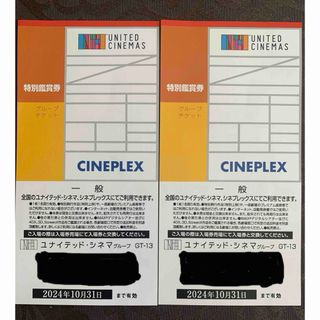 ユナイテッドシネマ 映画 鑑賞券 2枚(その他)