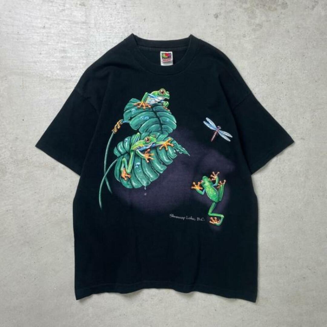 90年代 カナダ製 Shuswap Lake カエル トンボ デザインTシャツ メンズL相当 メンズのトップス(Tシャツ/カットソー(半袖/袖なし))の商品写真