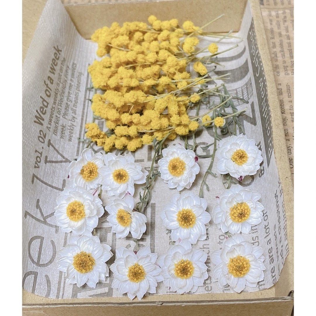 ドライフラワー 花材 花かんざし＆ミモザ ハンドメイドのフラワー/ガーデン(ドライフラワー)の商品写真