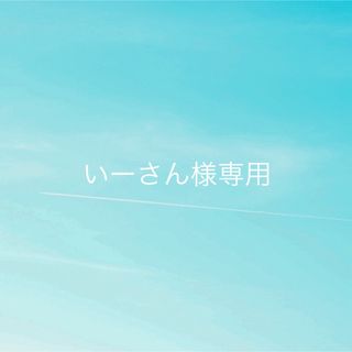 いーさん様専用(マタニティ下着)