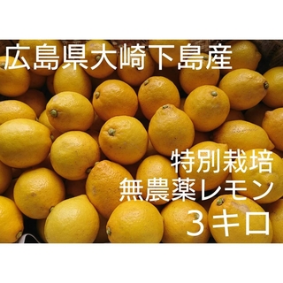 酸っぱいだけじゃない！甘味も感じる広島県大崎下島産 農薬不使用レモン3キロ(フルーツ)