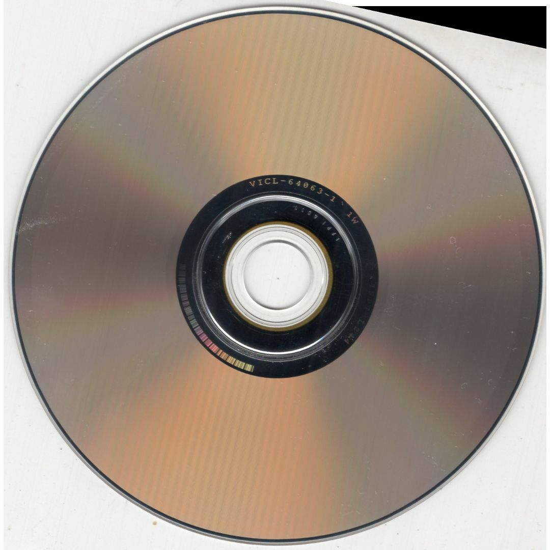 W13058   壊れた世界で花を抱く 家の裏でマンボウが死んでるP 　中古CD エンタメ/ホビーのCD(ボーカロイド)の商品写真