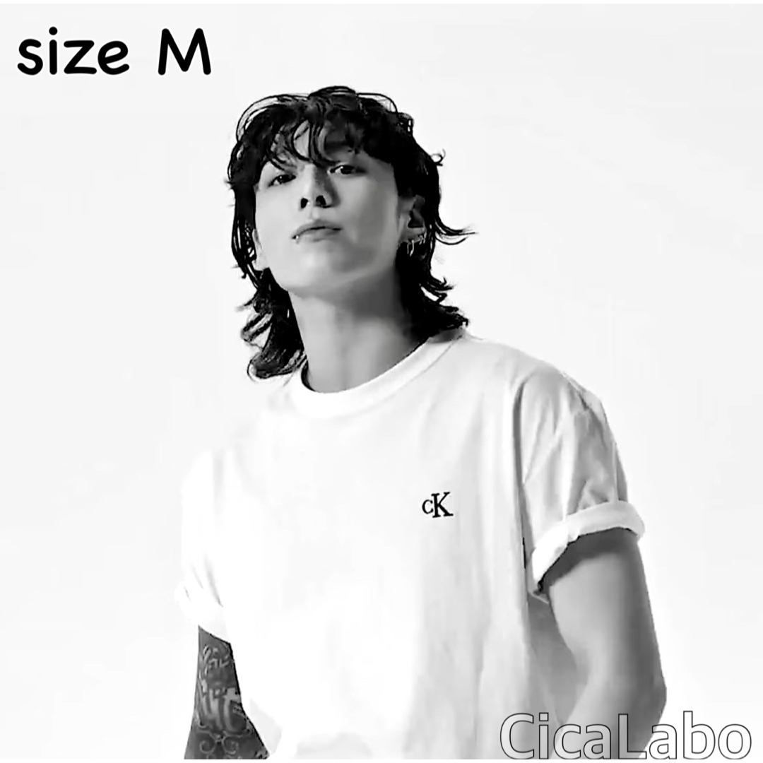 Calvin Klein(カルバンクライン)の【新品】カルバンクライン Tシャツ CKロゴ 白 M レディースのトップス(Tシャツ(半袖/袖なし))の商品写真