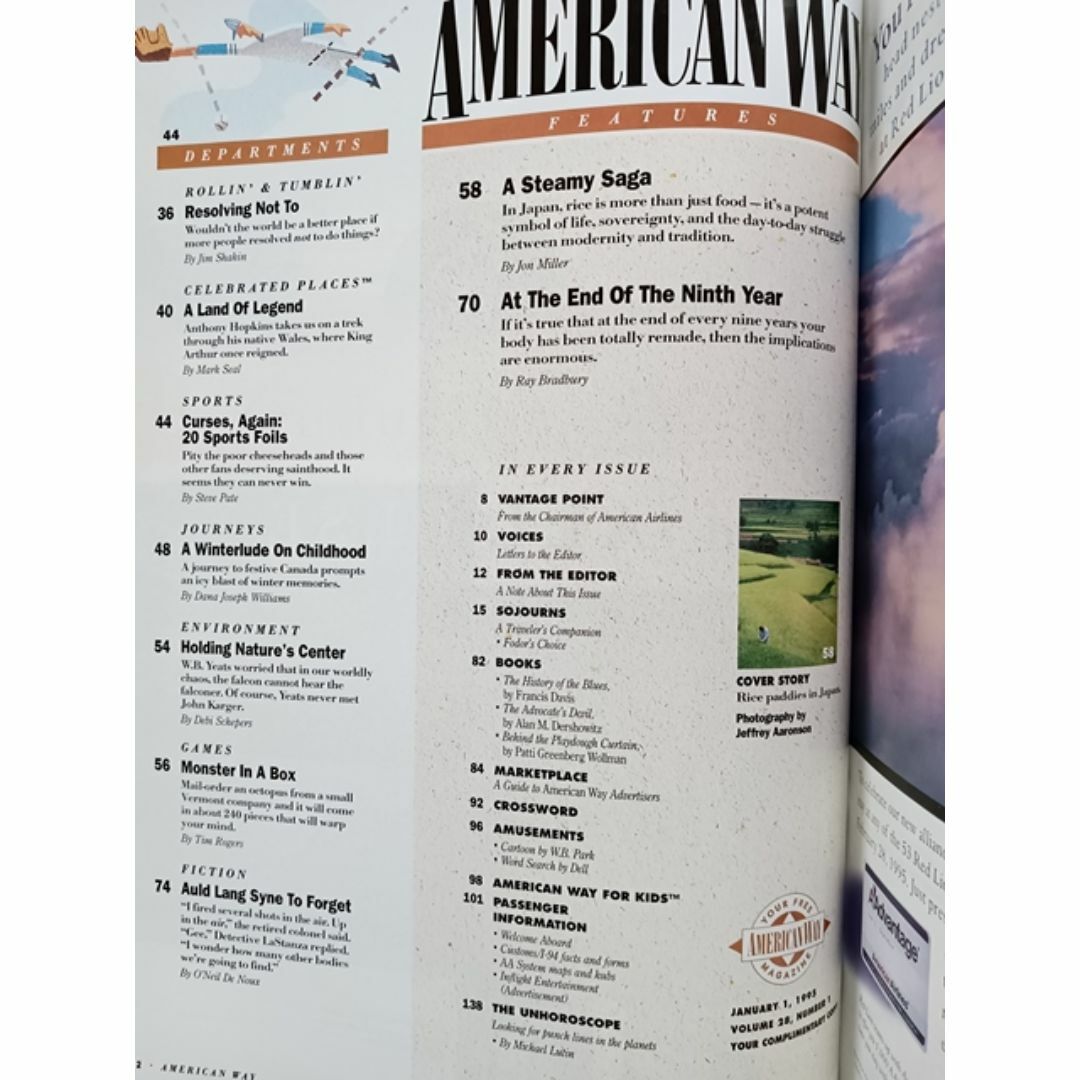 機内誌 アメリカン航空 1995年 美品 Amrerican Airlines エンタメ/ホビーの雑誌(趣味/スポーツ)の商品写真