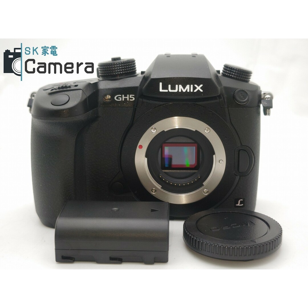 Panasonic(パナソニック)のPanasonic RD-SPM049 （GH5業務用） パナソニック 互換性電池・充電器付 説明文必読 スマホ/家電/カメラのカメラ(ミラーレス一眼)の商品写真
