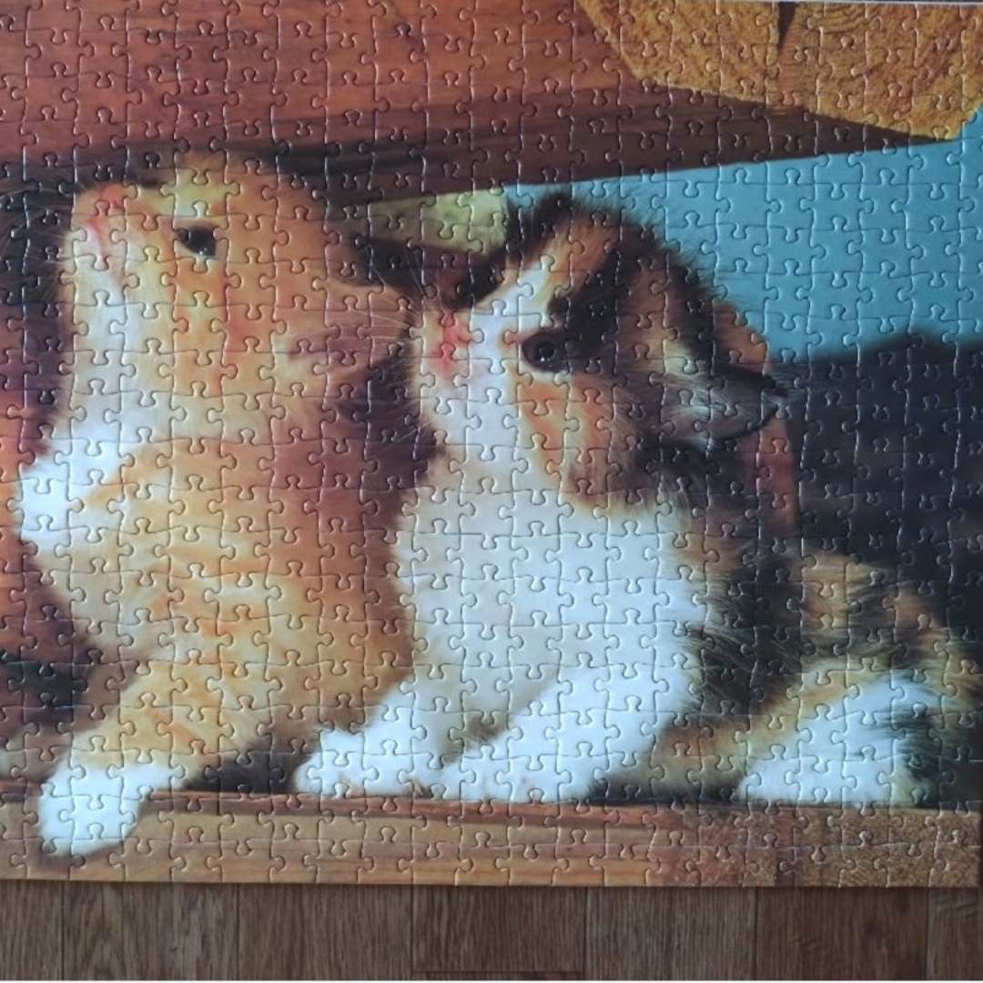 子猫のジクソーパズル　500ピース エンタメ/ホビーのおもちゃ/ぬいぐるみ(その他)の商品写真