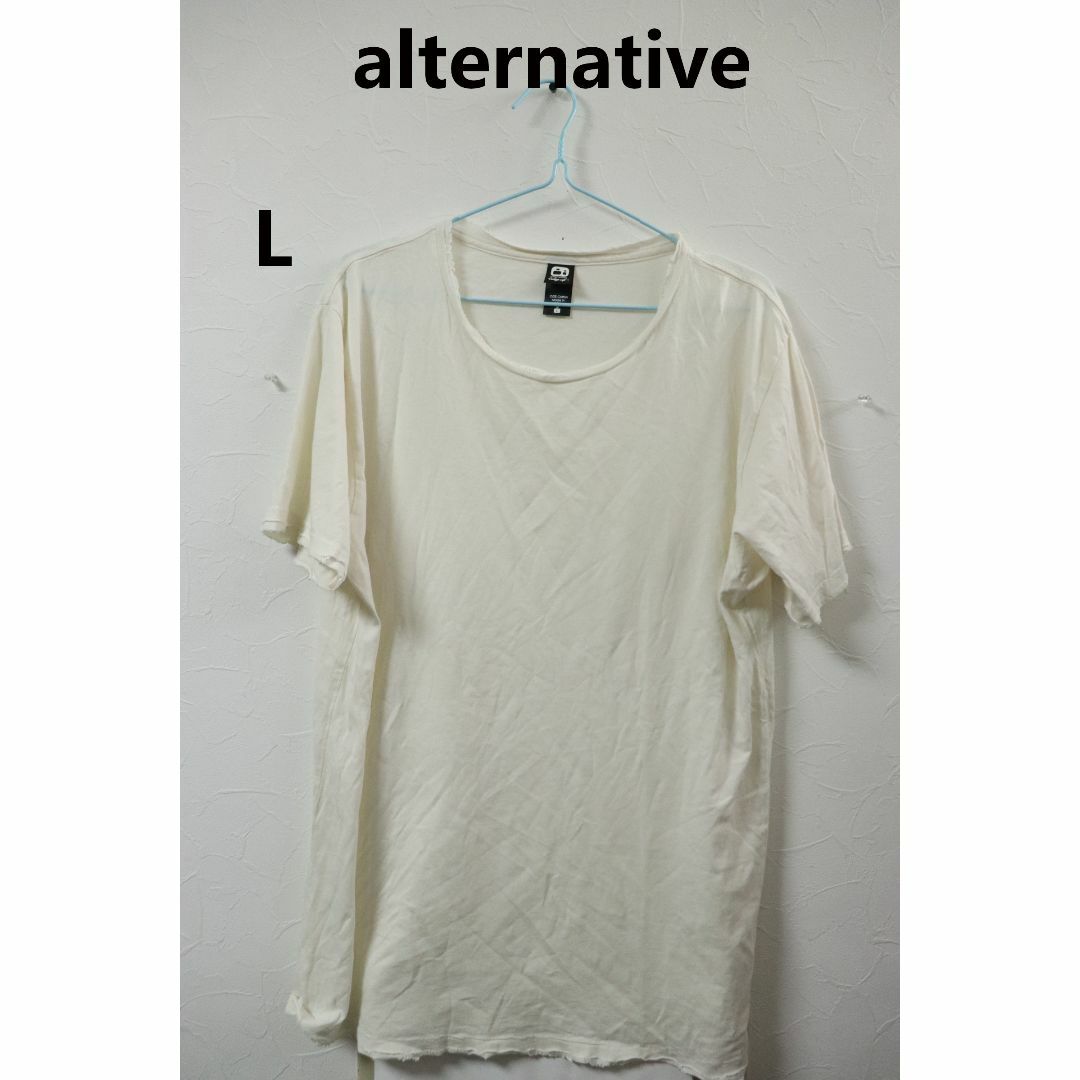 ALTERNATIVE(オルタナティブ)のプロフ必読alternative ダメージTシャツ/ブランド良品L メンズのトップス(Tシャツ/カットソー(半袖/袖なし))の商品写真