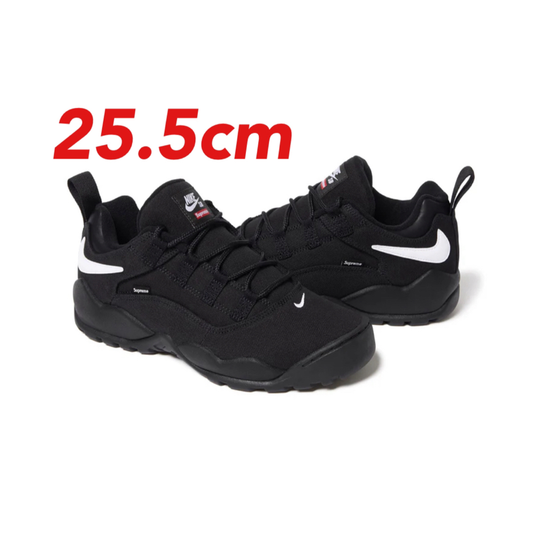 Supreme(シュプリーム)のSupreme × Nike SB Darwin Low メンズの靴/シューズ(スニーカー)の商品写真