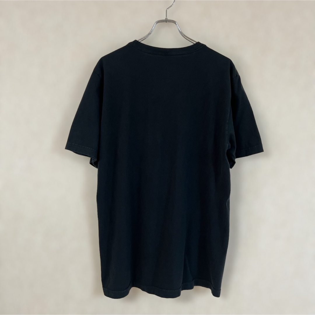 NIKE(ナイキ)のNIKE SBナイキ エスビー ビッグ プリントTシャツ スケーター メンズのトップス(Tシャツ/カットソー(半袖/袖なし))の商品写真