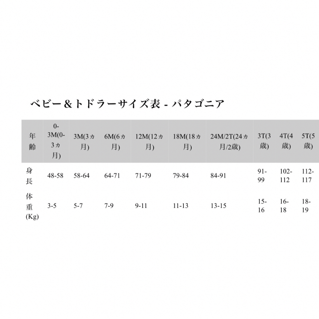 patagonia(パタゴニア)のパタゴニア　キッズ　Tシャツ　ラッシュガード　サイズ3T キッズ/ベビー/マタニティのキッズ服男の子用(90cm~)(Tシャツ/カットソー)の商品写真