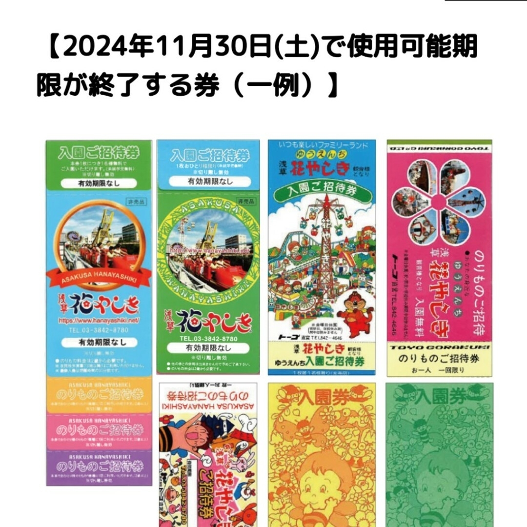 花やしき チケット 2024年11月30日まで チケットの施設利用券(遊園地/テーマパーク)の商品写真