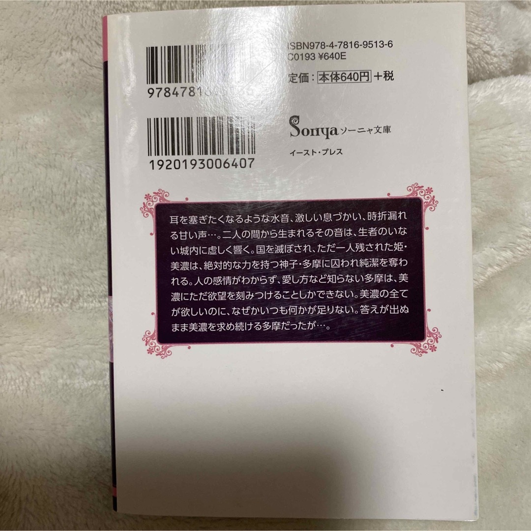 この結婚は間違いでした / 愛執の鳥籠 / されど、騎士は愛にふれたい / 白の エンタメ/ホビーの本(文学/小説)の商品写真