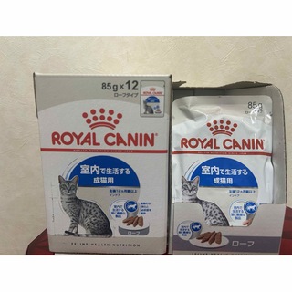 ロイヤルカナン(ROYAL CANIN)のロイヤルカナン　FHN-WET インドア ローフ 85g 23個(猫)