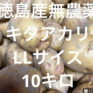 掘り立て‼️徳島産無農薬　キタアカリ2Lサイズ10キロ(野菜)