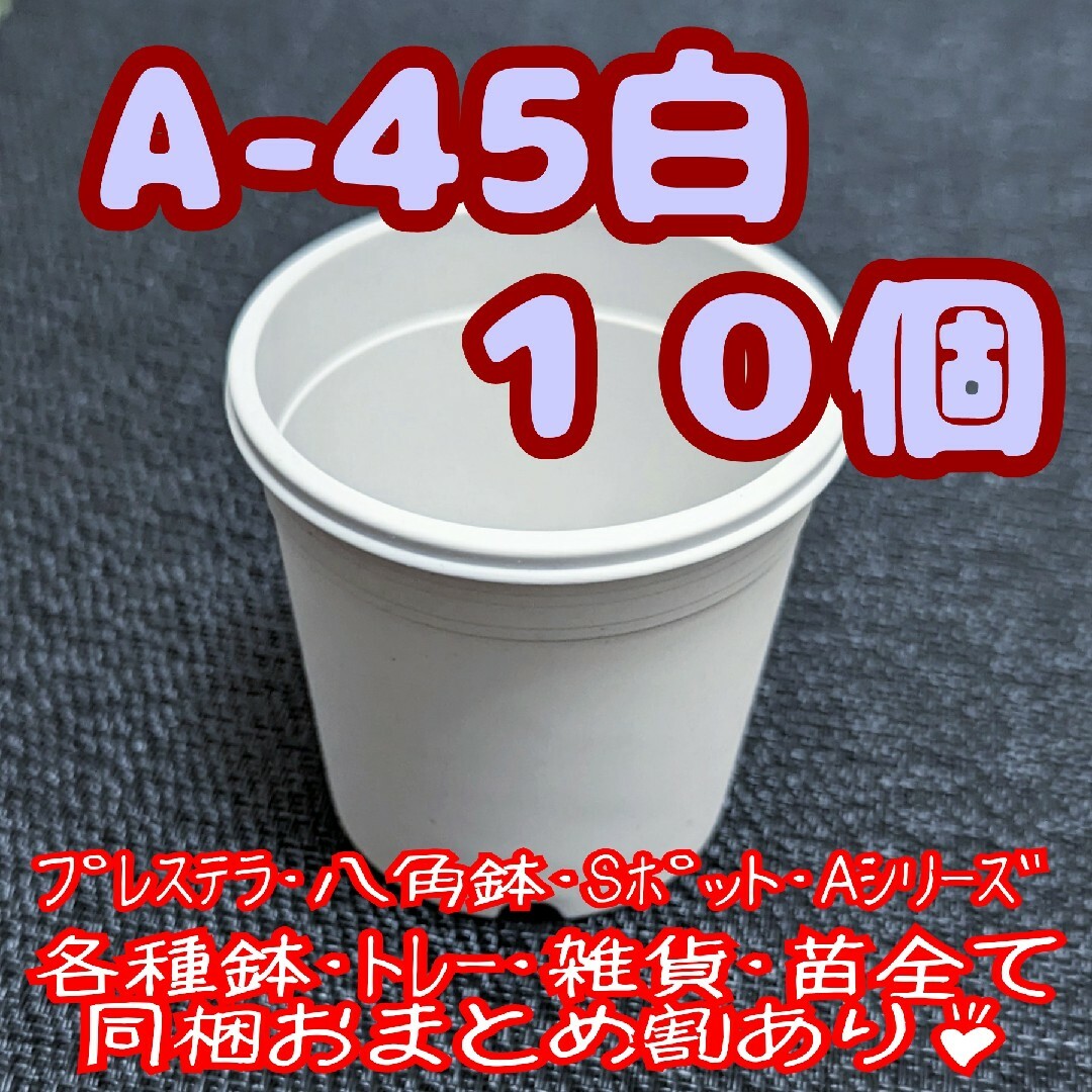 プラ鉢【A-45】10個 スリット鉢 丸 プレステラ 多肉植物 ハンドメイドのフラワー/ガーデン(プランター)の商品写真