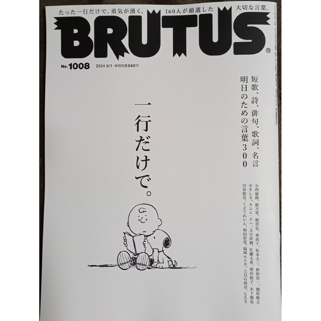 マガジンハウス(マガジンハウス)のBRUTUS ブルータス 2024.6.1号 エンタメ/ホビーの雑誌(その他)の商品写真