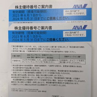 エーエヌエー(ゼンニッポンクウユ)(ANA(全日本空輸))のANA 株主優待券　期限2024/5/31(航空券)