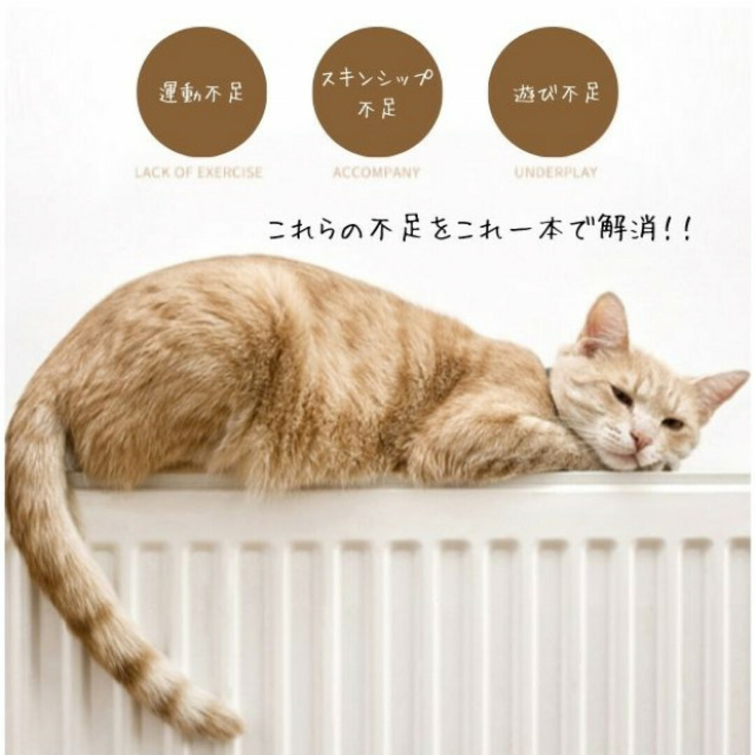 LED ポインター 猫じゃらし USB充電式 猫 ペット 用品　おもちゃ　玩具 その他のペット用品(猫)の商品写真