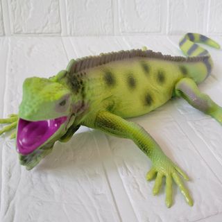 グリーンイグアナ トカゲ フィギュアの通販|ラクマ グリーンイグアナ トカゲ フィギュアの通販|ラクマ