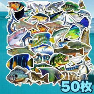 ５０枚　ステッカー　魚　フィッシュ　フレークシール　釣り　さかな　フィッシング(その他)