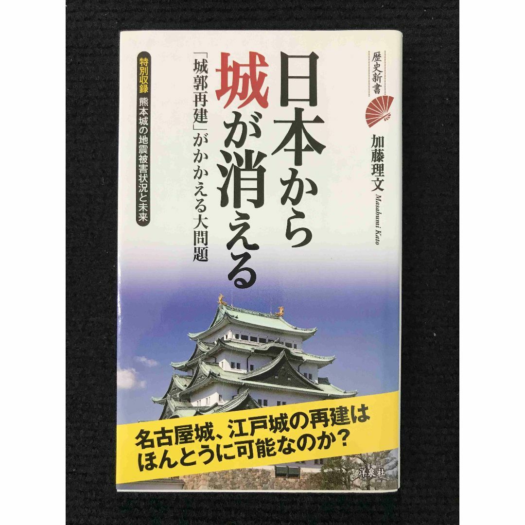 日本から城が消える (歴史新書)                   エンタメ/ホビーの本(アート/エンタメ)の商品写真