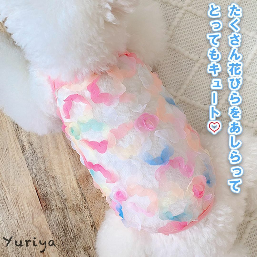【色: 花びらB・ピンク系】Yuriya 犬の服 夏 かわいい ドッグウェア チ その他のその他(その他)の商品写真